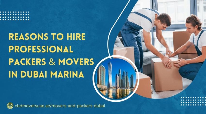 movers and packers in Dubai Marina